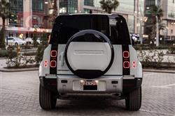 لاند ڕۆڤەر دیفێندەر